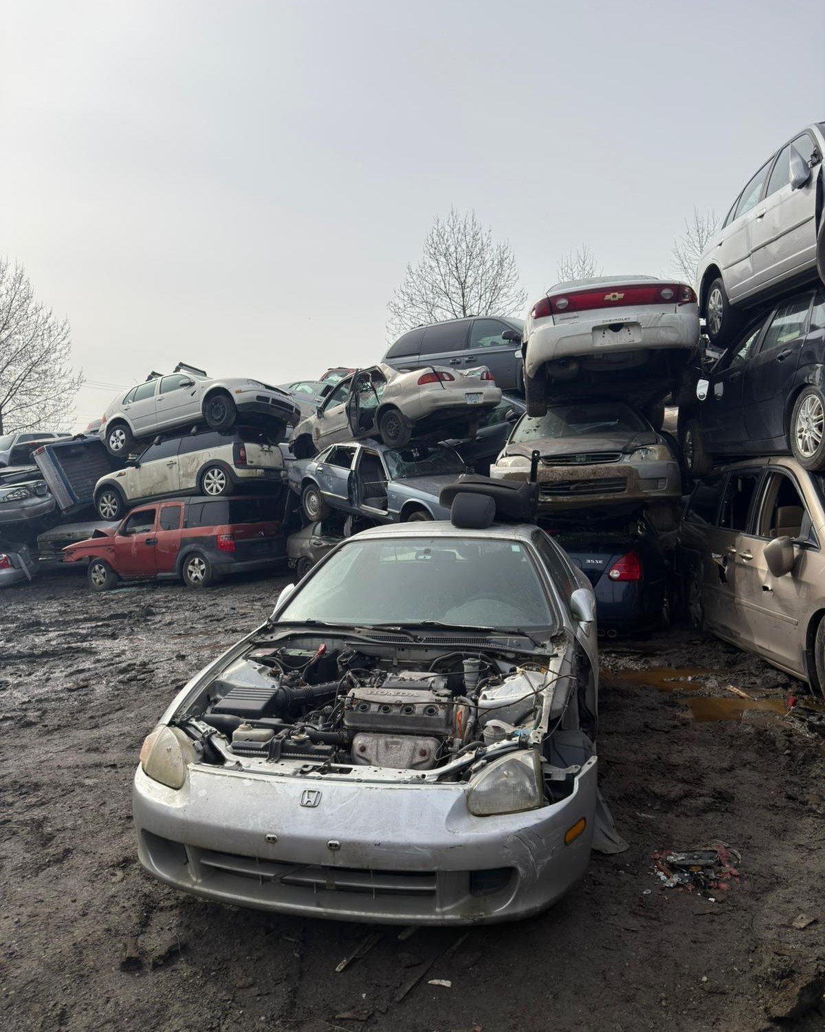 Cash for junk cars in South Vancouver